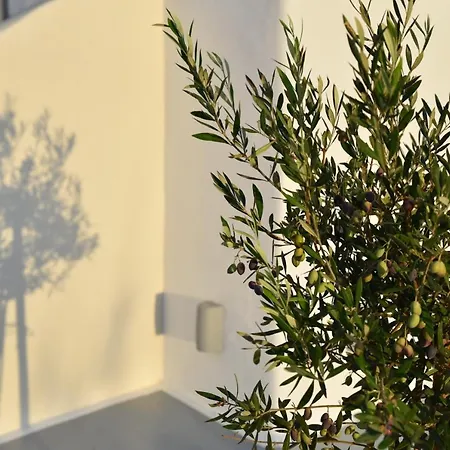 Crystal Mare 3* Naxos City
